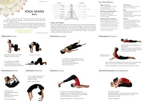 Yoga Asana Basic
